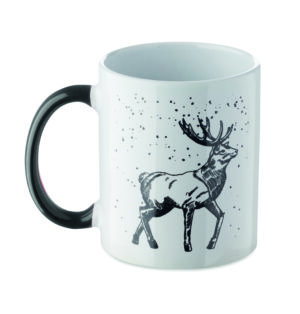 FESTIMUG