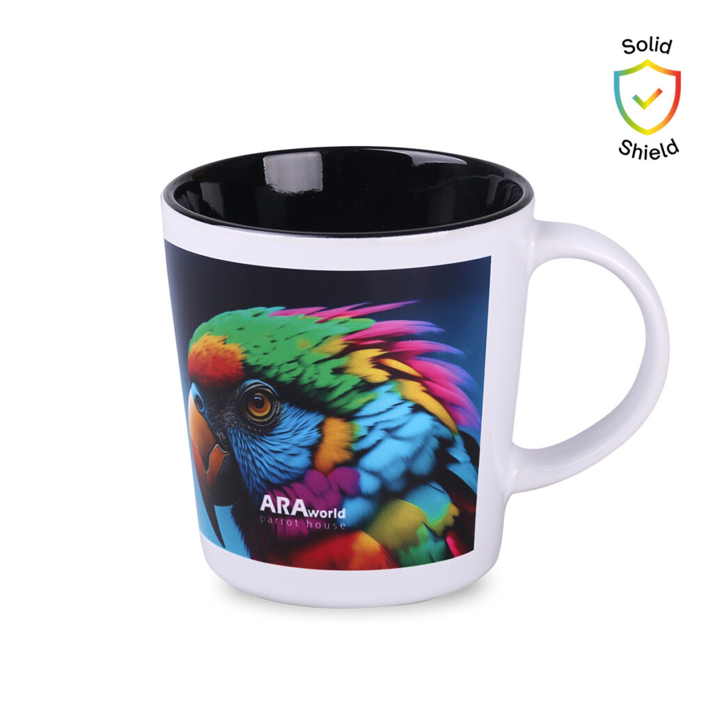 1761568417_4905_14_4517