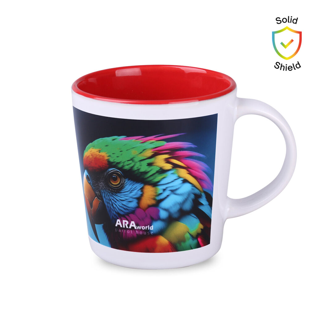 1761568433_4825_14_4519