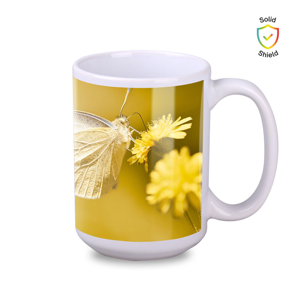 1761568515_9087_14_4531